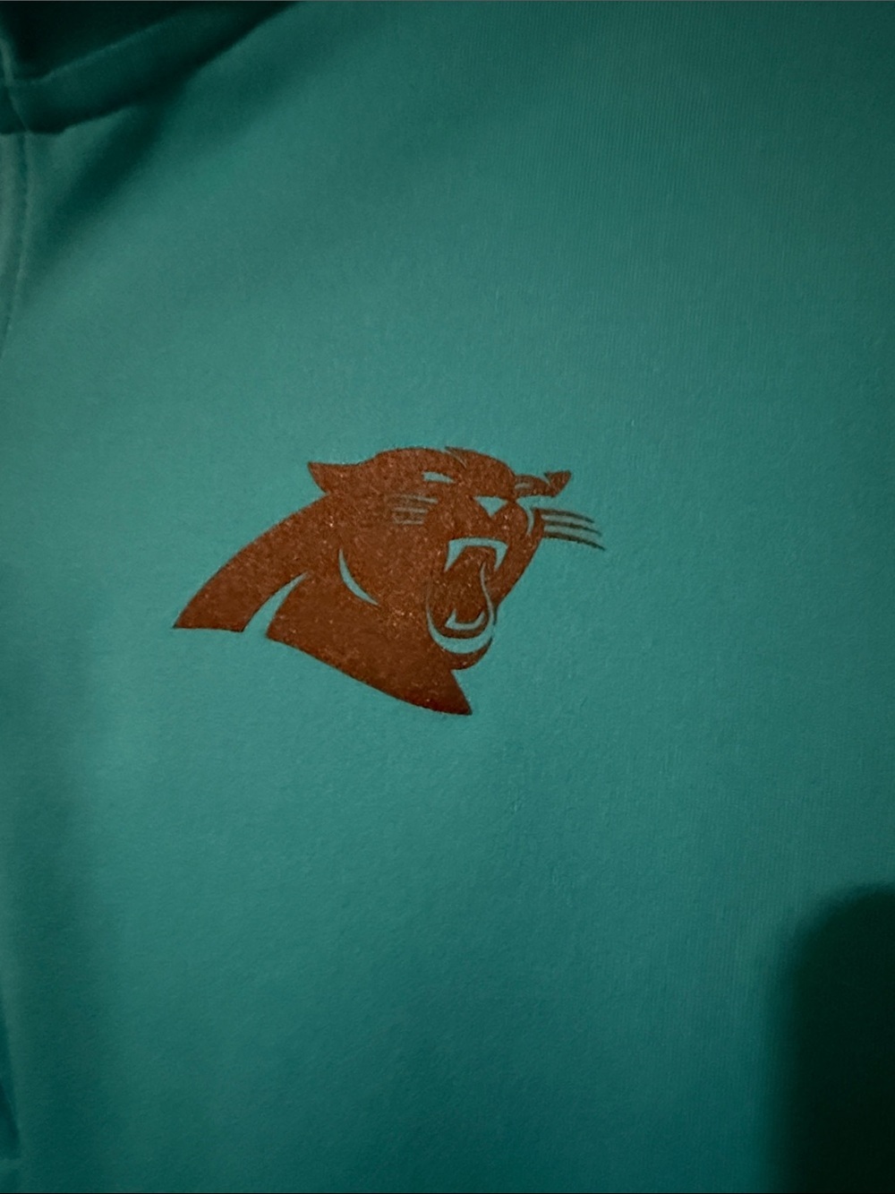 Carolina Panthers Women's Teal 1/4 Zip Pullover - Picture 2 of 8